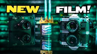 Aurora 800 35mm Film | Flic Film's Low Light King