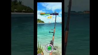 fishing rival 3d #gameplay in a  big fish