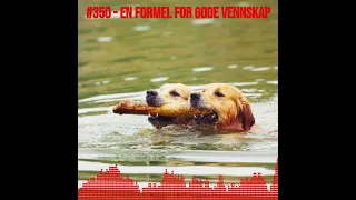 #350 - En formel for gode vennskap