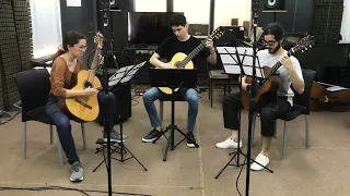 Cerezos - Fuga a tres guitarras - Elisa Vila