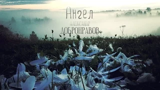 Александр ДОБРОНРАВОВ - АНГЕЛ | Official Audio