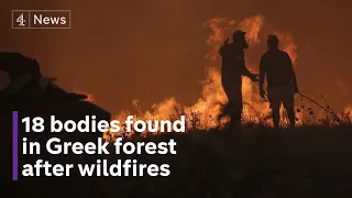 18 bodies found in Greek forest hit by wildfires