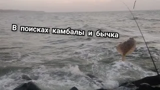 в поисках Камбалы и бычка в Черном море.