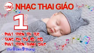 Nhạc Thai Giáo Từ 1 đến 9 tháng, An Thai Phát Triển Trí Tuệ Cho Thai Nhi, Mẹ Bầu Thư Giãn