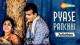 All Songs of Pyase Panchhi (1961) - HD Jukebox | Ameeta | David | Jeevan | Mehmood | Sadabhar Songs