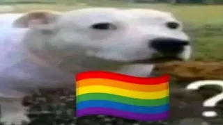 COMPILADO DE SHITPOST #01 🏳️‍🌈?