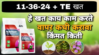 11 36 24 fertilizer | icl fertilizer products | icl 11-36-24 (@digital_yuva_shetkari )