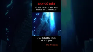 Bạn có biết: Khi Godzilla tung cánh BAY lên trời #shorts