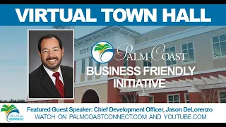 Virtual Town Hall: Business-Friendly Initiative