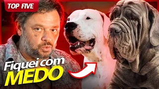 TOP 5 CACHORROS QUE EU MAIS TIVE MEDO DE GRAVAR! | RICHARD RASMUSSEN