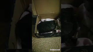 как сделать мини домик для черепахи❤️🐢