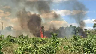 Fire Management in the Rupununi