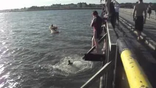 Jumping from the bridge in Portmarnock