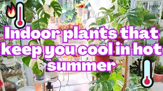 Indoor plants that keep you cool in hot summer | Bring these houseplants for cooling effect