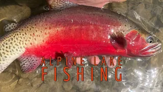 Fly Fishing an Alpine Lake