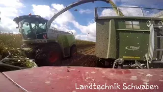 Maishäckseln 2017 / Case Maxxum 5120 & Fliegl Kipper