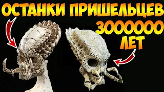 Нашли Останки Пришельцев, Которым 3 000 000 лет!