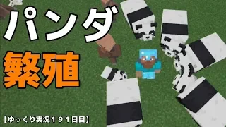 【ＳＷＩＴＣＨ統合版マイクラ】パンダ繁殖！ゆっくり実況１９１日目！