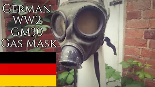 Gas Mask Review | GM30