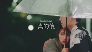 《真的傻》徐佳瑩｜一吻定情 電影主題曲｜Cover by. 布朗先生