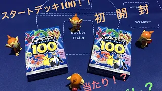 【ポケモンカード】初開封！！スタートデッキ100開封！Pokemon TCG