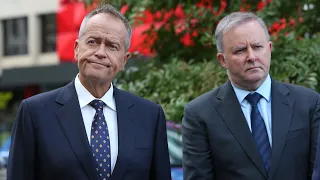 ‘Things are not great’: Albanese government’s lack of accountability slammed