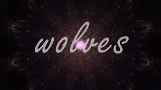 Lyric Selena Gomez, Marshmello  - Wolves (Road Trip Video)