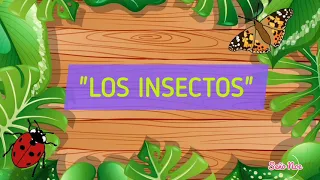 CARACTERÍSTICAS DE LOS INSECTOS (PARA NIÑOS)