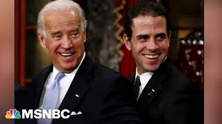 'Simply about the polling': House member slams hearing on Hunter Biden probe