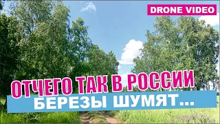 Отчего так в России березы шумят. Любэ и Сергей Безруков. Видео с гоночного дрона.