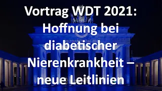 Hoffnung bei diabetischer Nierenkrankheit – neue Leitlinien (Weltdiabetestag 2021)