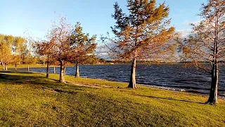 Parque Andresito, Flores