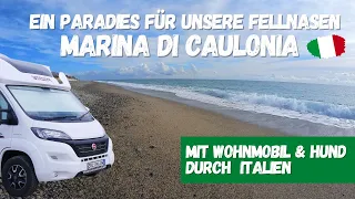 Marina di Caulonia 🇮🇹  Paradies für unsere Fellnasen | Überwintern in Italien mit Wohnmobil & Hund