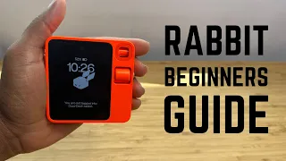 Rabbit - Complete Beginners Guide