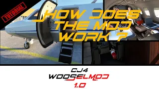 CJ4 WooselMod v1.0 - Full Tutorial: How does the mod work?