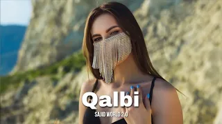 Qalbi - Sajid World 2.0