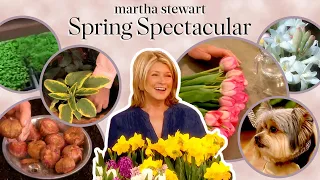 Martha Stewart's Spring Spectacular | Best Springtime Hacks