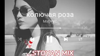 колючая роза минус (MSTOYAN MIX)