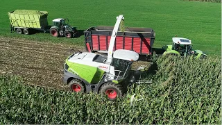 Maishäckseln 2021 LU Krumm Claas Jaguar 970 10 Reihen, Fendt, Claas LU Biggel, Deutz, Teil 1[4K]