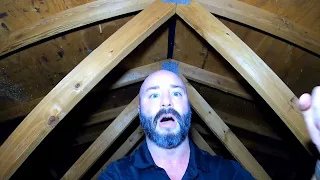 What is that noise in my attic!?