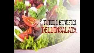 Tutti i benefici dell'insalata. Lattuga, scarola, radicchio: la scelta giusta per una dieta sana