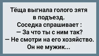 Теща Выгнала Голого Зятя в Подъезд! Сборник Свежих Анекдотов! Юмор!