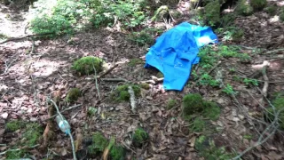 Exploring Aokigahara,The Suicide Forest , Part 4