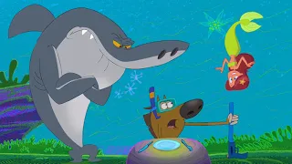 (SEASON 1) Zig & Sharko BEST CLIP HD 🔱 #Harpoon #62