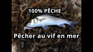 Pêcher au vif en mer (tous les trucs pour réussir)