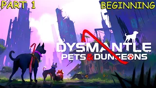 Dysmantle Pets and Dungeons . Walkthrough, no commentary. Beginning. Part 1