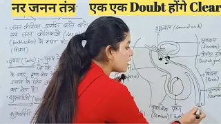 नर जनन तंत्र (हिंदी में) | Male Reproductive System in Hindi | Full and Simple Explanation