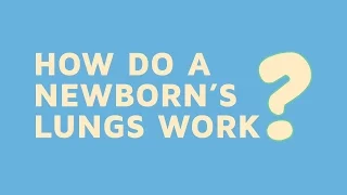 How Do A Newborn's Lungs Work?