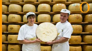 Parmigiano Reggiano: how the King of Italian cheese is made