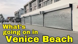 What’s Going on in Venice Beach?